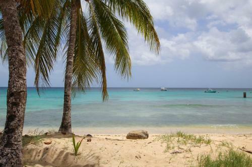 Lantana 15 By Bsl Rentals