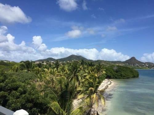 Apartamento Exclusive Beachfront Eco Studio