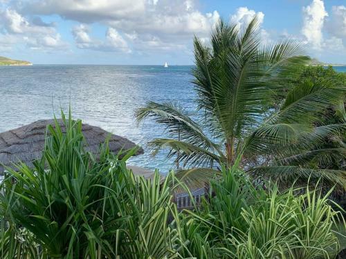 Apartamento Exclusive Beachfront Eco Studio