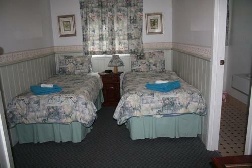Hostal Jacaranda Guest House