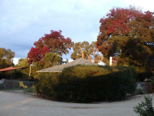 Arcadia Motor Inn