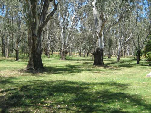 Hotel Rivergum Holiday Retreat