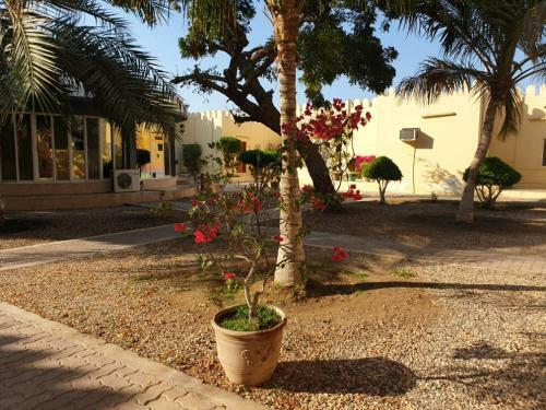 Hotel Suwaiq Motel