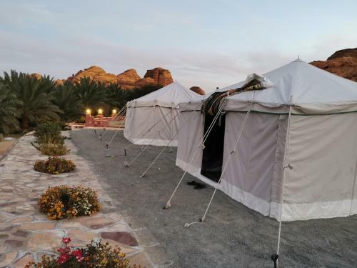 Rural Tents Naseem Alouzaib