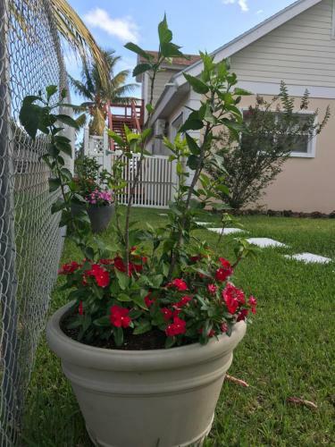 Apartamento Coral Lakes Vacation Spot