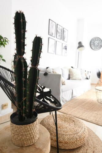 Apartamento Near The Beach - 3bed - 2bath - Wifi
