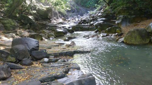 Apartamento C�t� Cara�bes