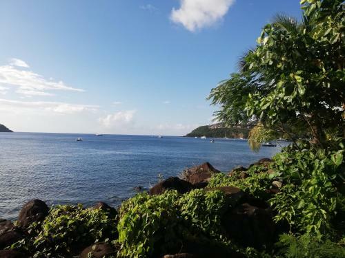 Apartamento Appartement Situ� En Bord De Mer