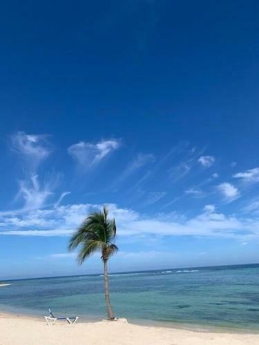 Apartamento Castaways Cove - 10 Steps To The Beach!