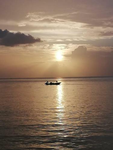 Les Lodges Les Hauts de Deshaies Bungalow Aruba