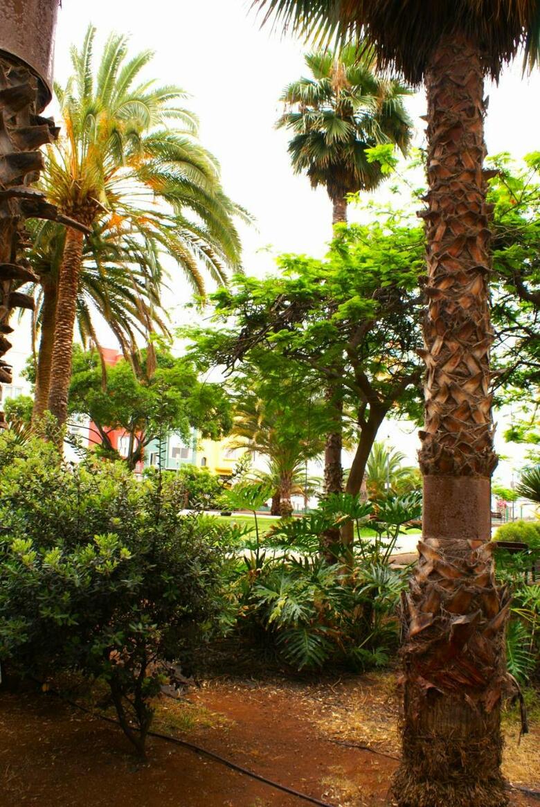 Hostal Casa Doranda Las Canteras