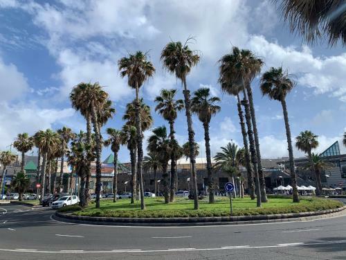 Apartamento Villa Rosaura