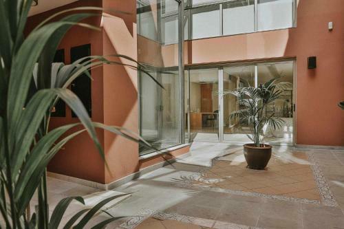 Apartamento Suite Palmerasluxury Loft
