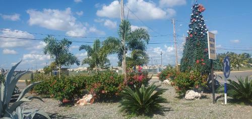 Apartamento S&b Vacation Home