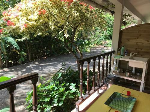 Lodge Martinique Treehouse