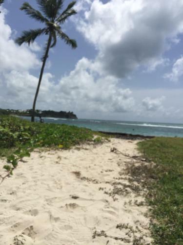 Apartamento Location Guadeloupe