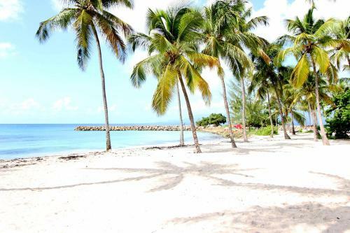 Apartamento Oc�alia Studio Vue Mer