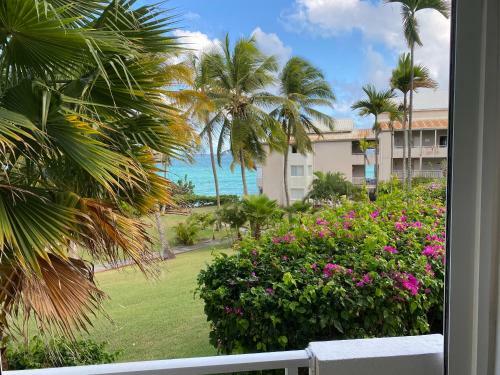 Apartamento La P�pite De Gosier