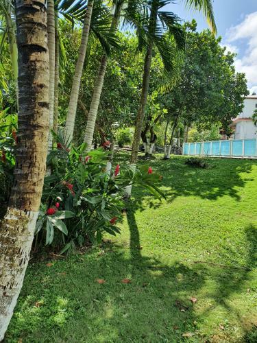 G�tes Espace Qui�tude Pavillon Zen Avec Wifi