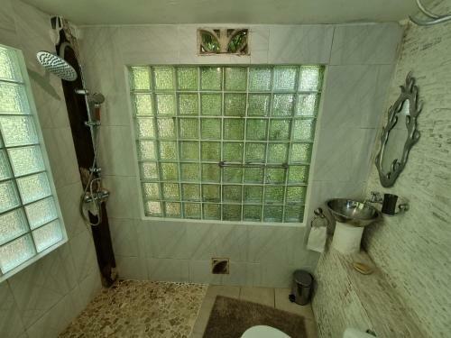 Hostal Racoon Lodge