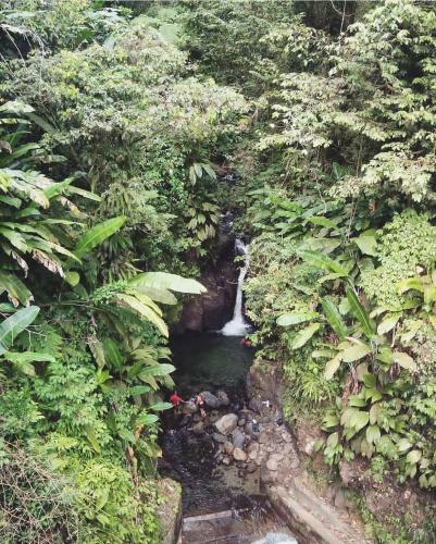 Albergue Auberge Kanne-�-sukre