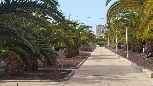 Luxurious Townhouse In Los Cristianos
