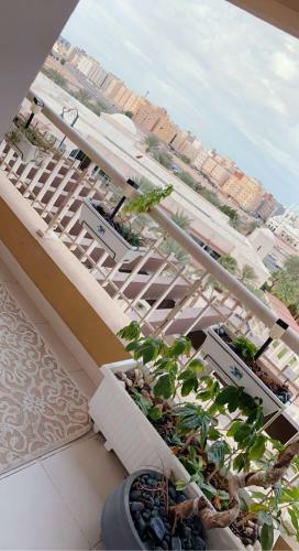 Apartamento ??? ????? ?????