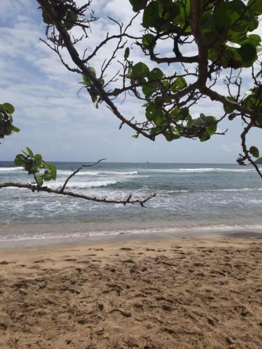 Apartamento R�sidence de La Baie Tartane Studio Tourterelle