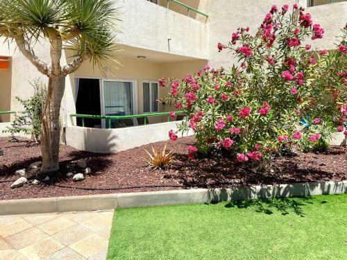 Los Cristianos Costamar Apartment