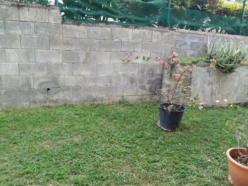 Apartamento F2 Calme Carbet