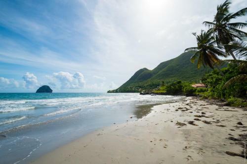 Villa Les Amandiers 6 Chambres Face � La Mer!
