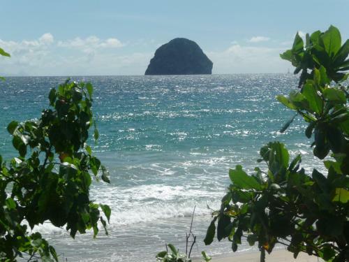 Apartamento Appartement Rosbambou Les Pieds Dans L Eau