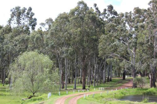 Lodge Gilgara Retreat