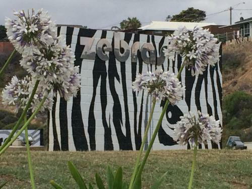 Hostal Zebras Guest House Geraldton