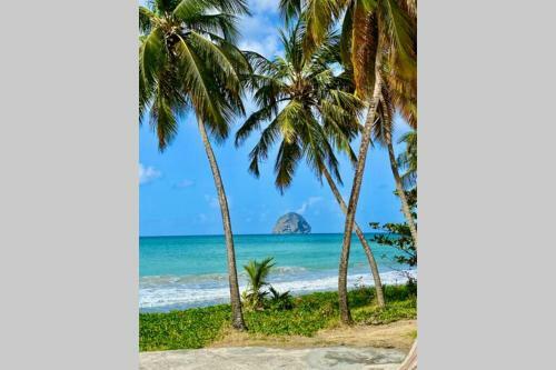 Villa Bel'vue, Ambiance Et Style Tropic Chic