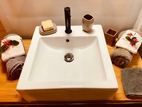 Splendide Bungalow En Bois Avec Jacuzzi Dans Un Parc Tropical
