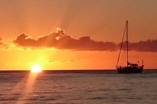Apartamento Superbe Studio, � 20 M�tres de La Plage, Acc�s Direct Grande Plage Diamant