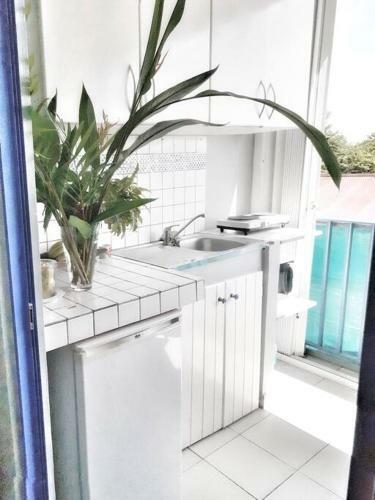 Apartamento Superbe Studio, � 20 M�tres de La Plage, Acc�s Direct Grande Plage Diamant