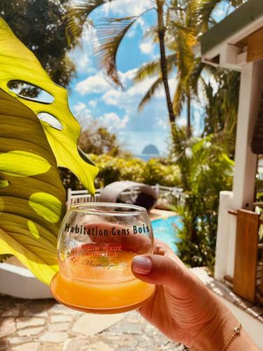 Villa Habitation Gens Bois