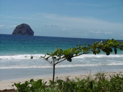 Apartamento Charmant T2 � 5 Mn de La Superbe Plage Du Diamant