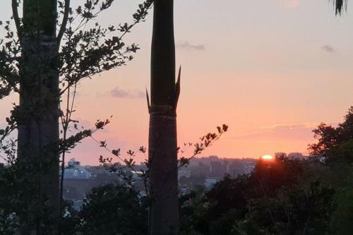 Apartamento Le Lis Vacances Et Affaire Cosy Vue Mer