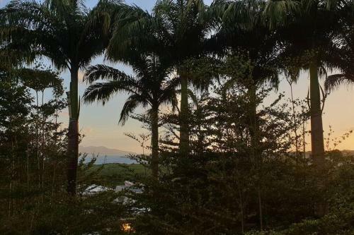 Apartamento Le Lis Vacances Et Affaire Cosy Vue Mer