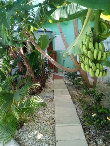 Tr�s Belle Location Touristique