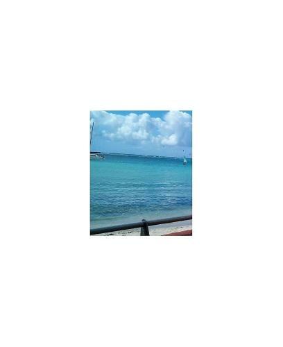 Apartamento Villa Bleue