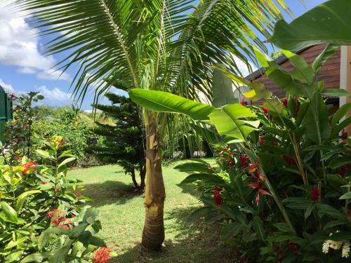Villa Saphir