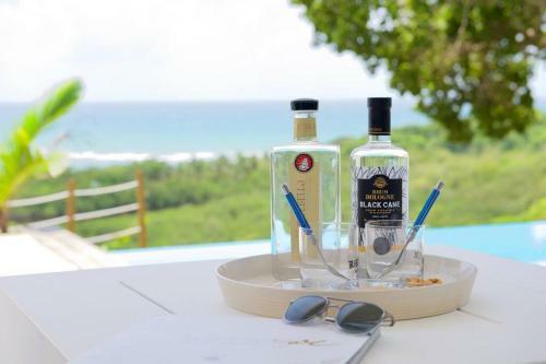 The View - Magnifique Villa Face � La Mer