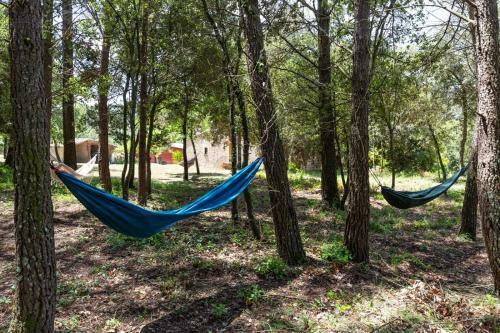 Apartamento Mas Tarr�s