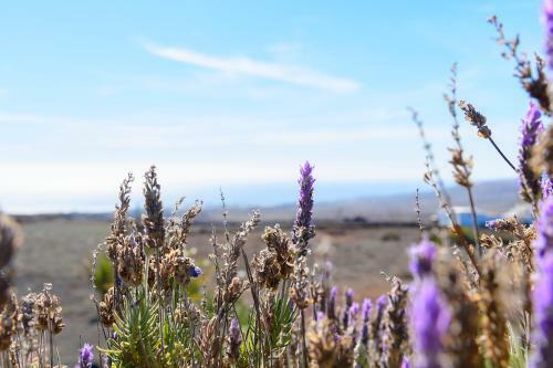 Apartamento Casa Amanecer II