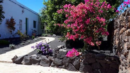 Villa Casa Tara