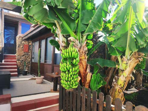 Agroturismo Finca Luc�a